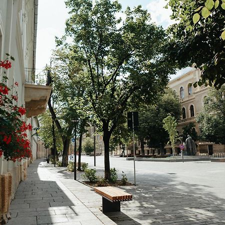 Contessa Central Studio Cluj Napoca Bagian luar foto