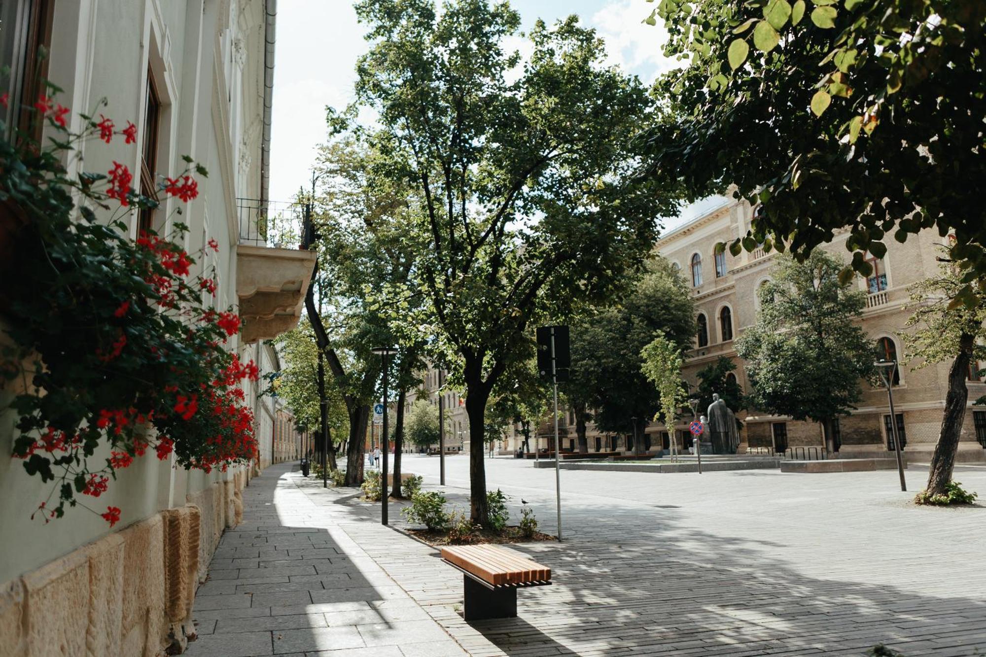 Contessa Central Studio Cluj Napoca Bagian luar foto