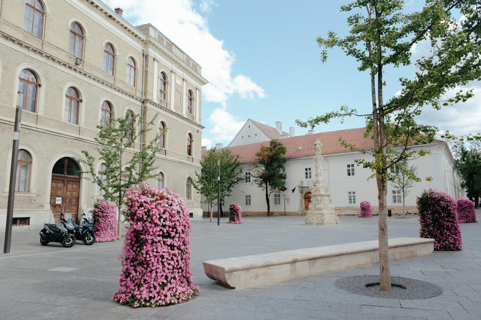 Contessa Central Studio Cluj Napoca Bagian luar foto