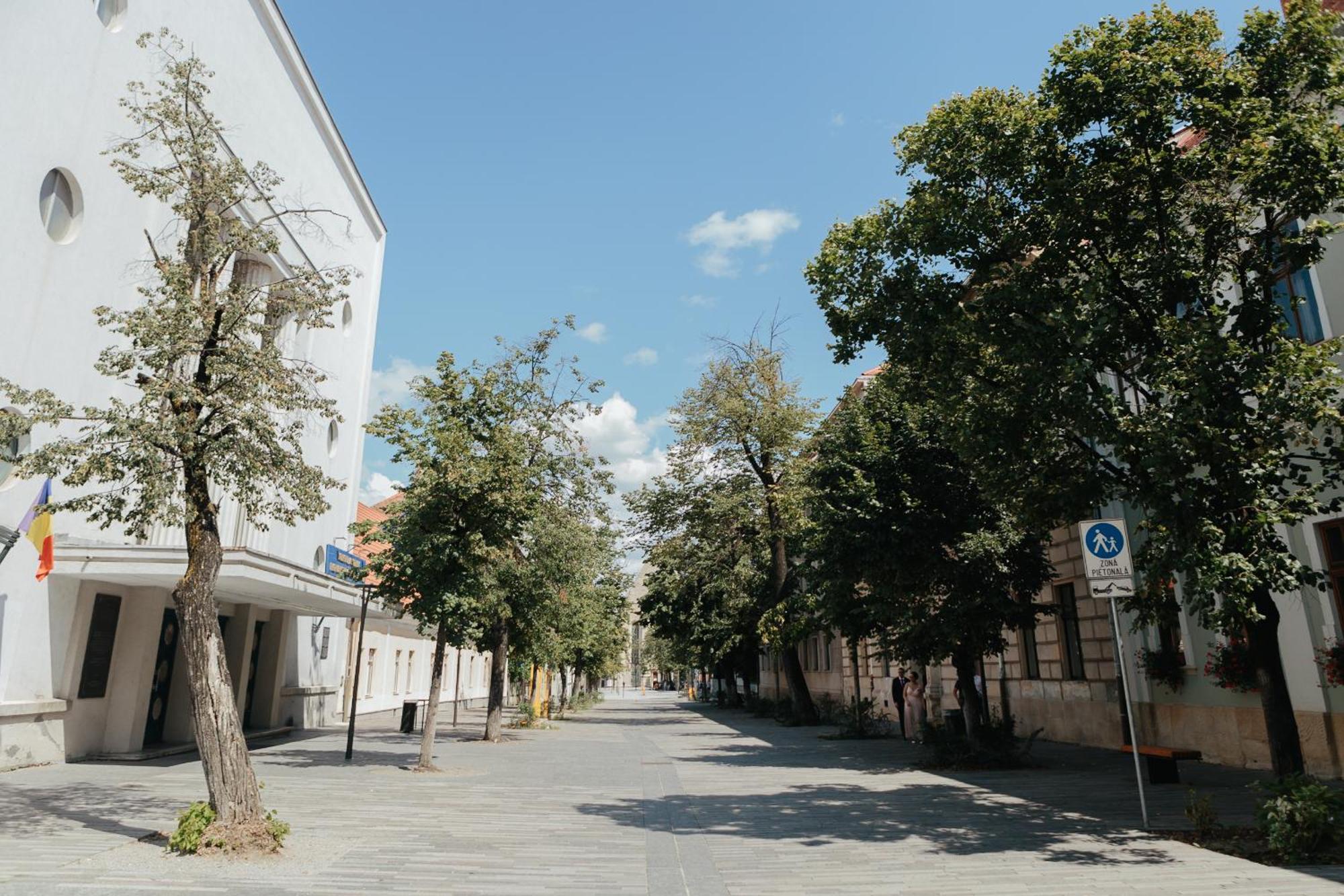 Contessa Central Studio Cluj Napoca Bagian luar foto